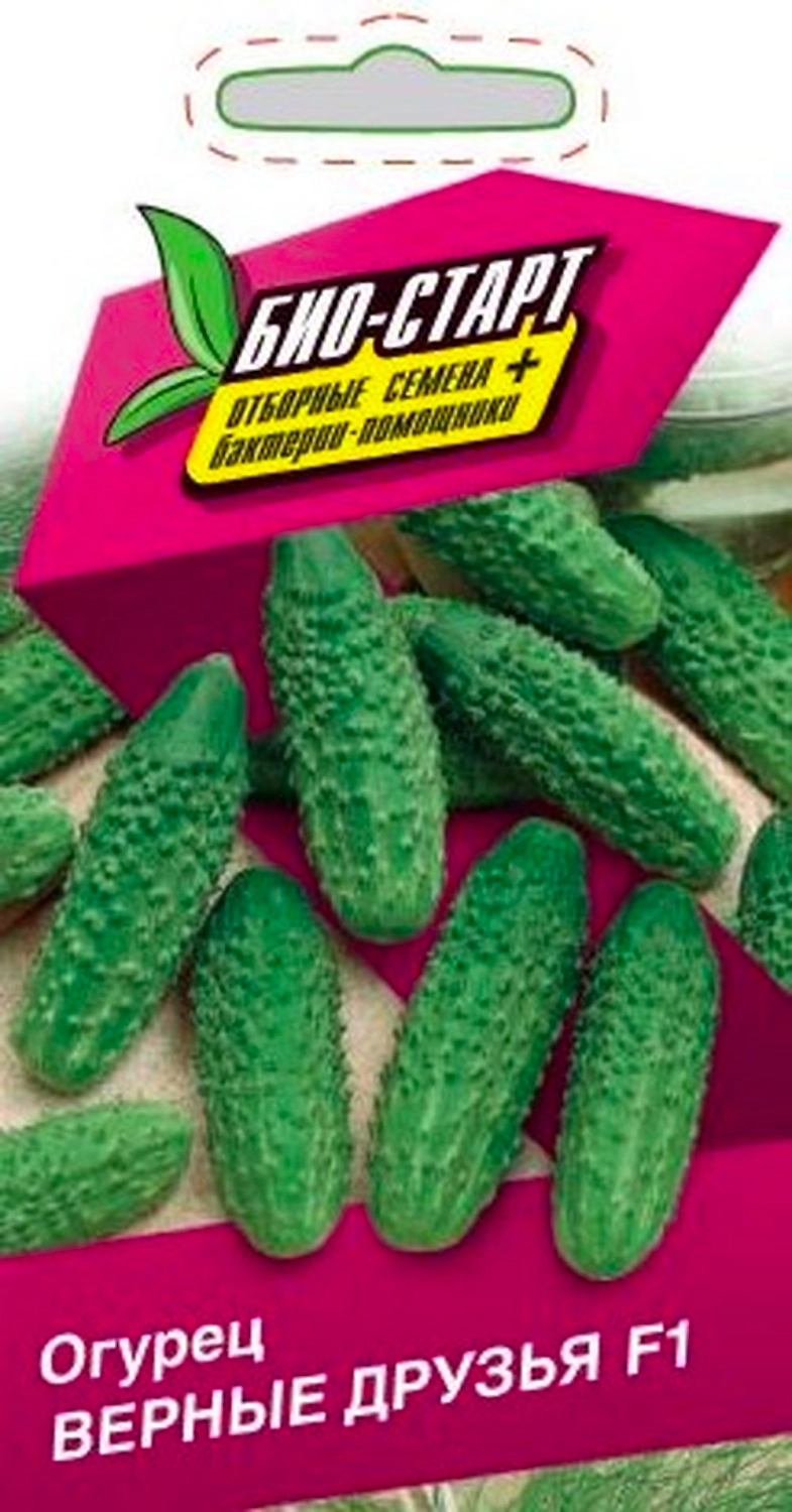 Семена ОГУРЕЦ ВЕРНЫЕ ДРУЗЬЯ F1 БИО 0,25 ГР