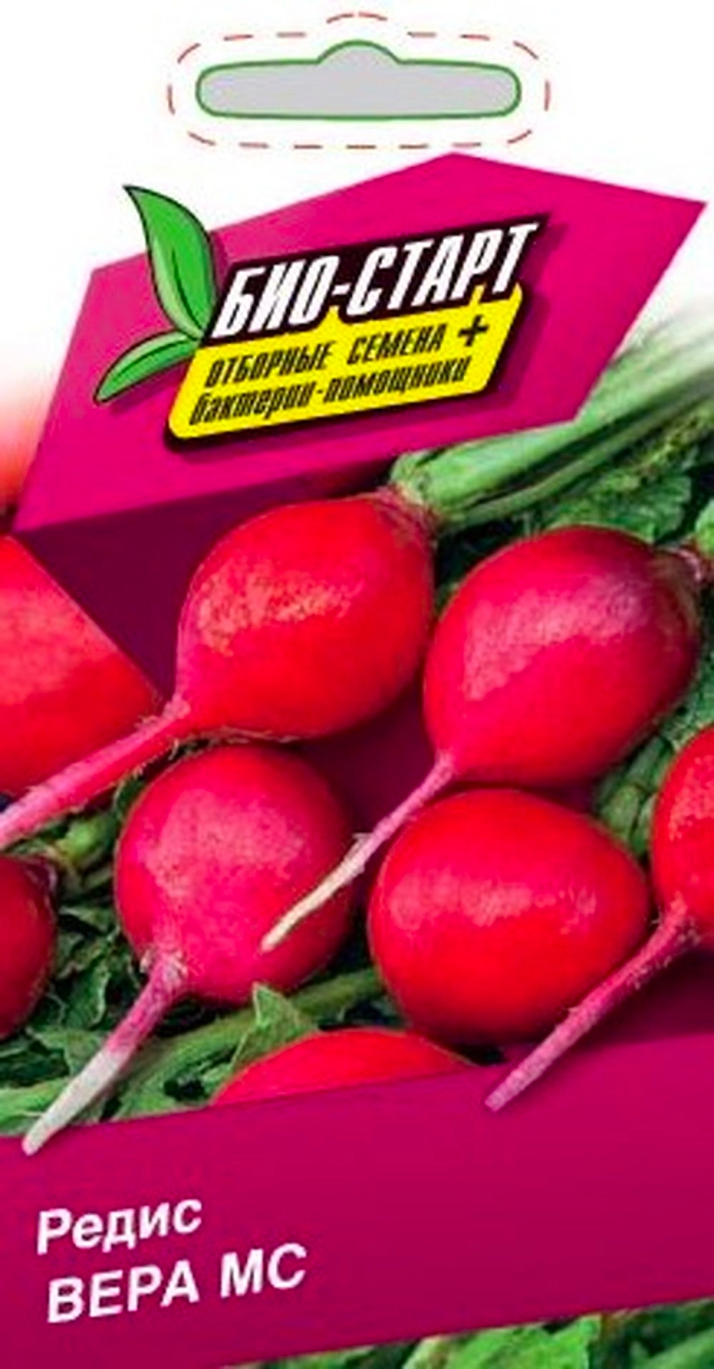 Семена РЕДИС ВЕРА МС БИО 3 ГР