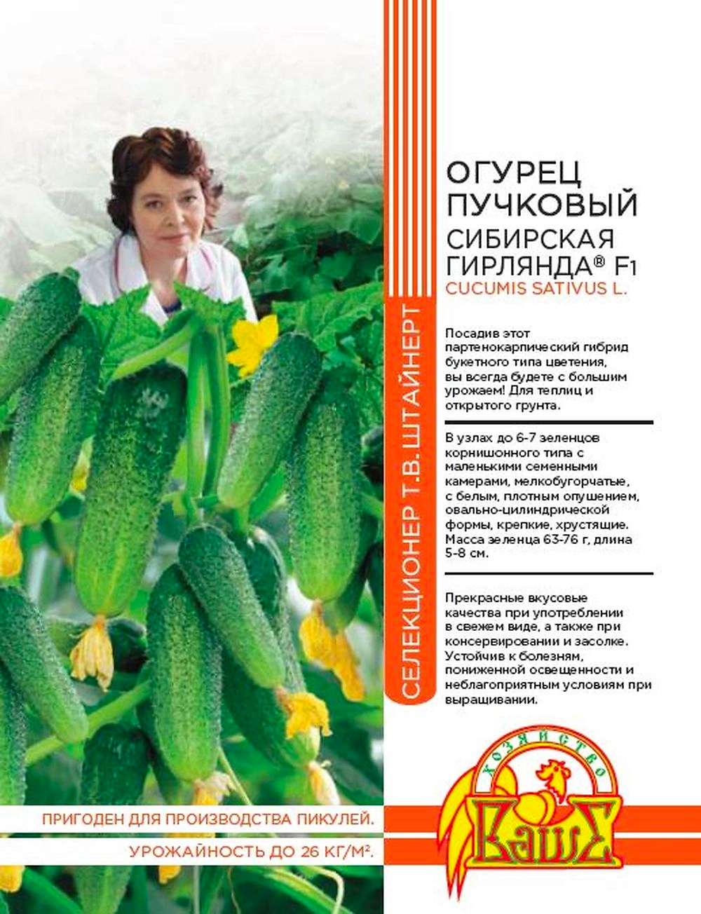 Семена ОГУРЕЦ СИБИРСКАЯ ГИРЛЯНДА 5 ШТ ШТАЙНЕРТ