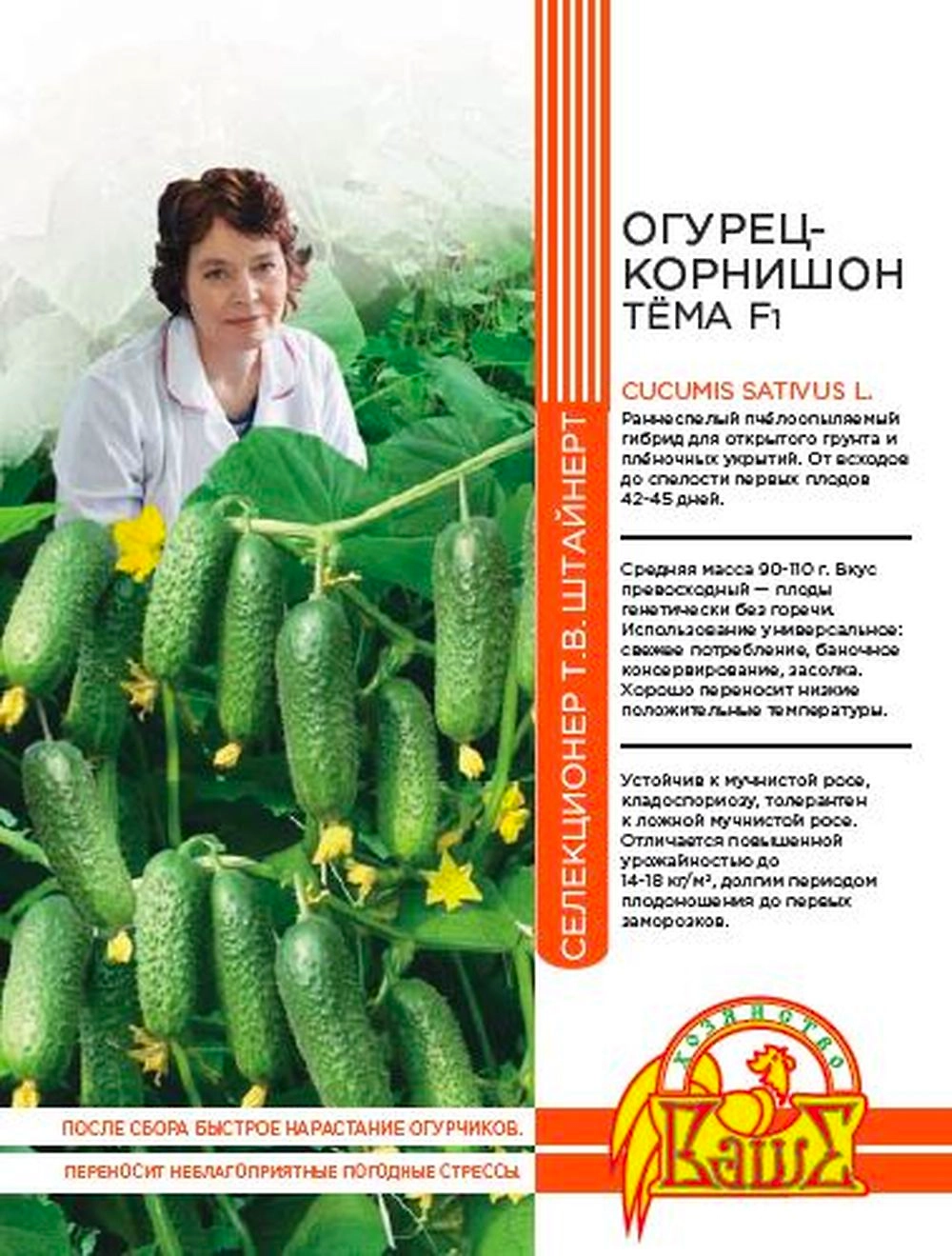 Семена ОГУРЕЦ КОРНИШОН ТЁМА F1 12 ШТ