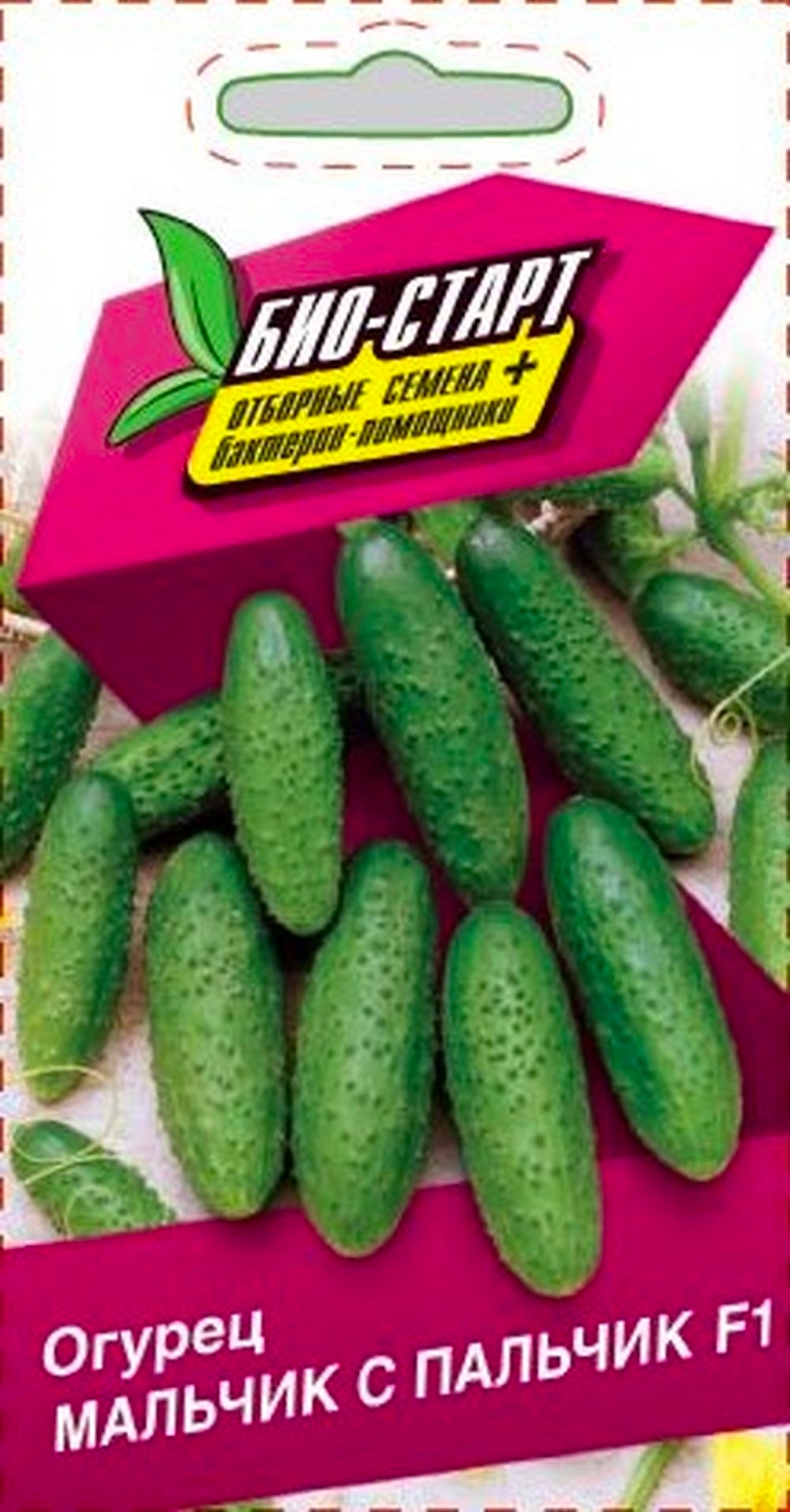 Семена ОГУРЕЦ МАЛЬЧИК С ПАЛЬЧ БИО 0,25 ГР