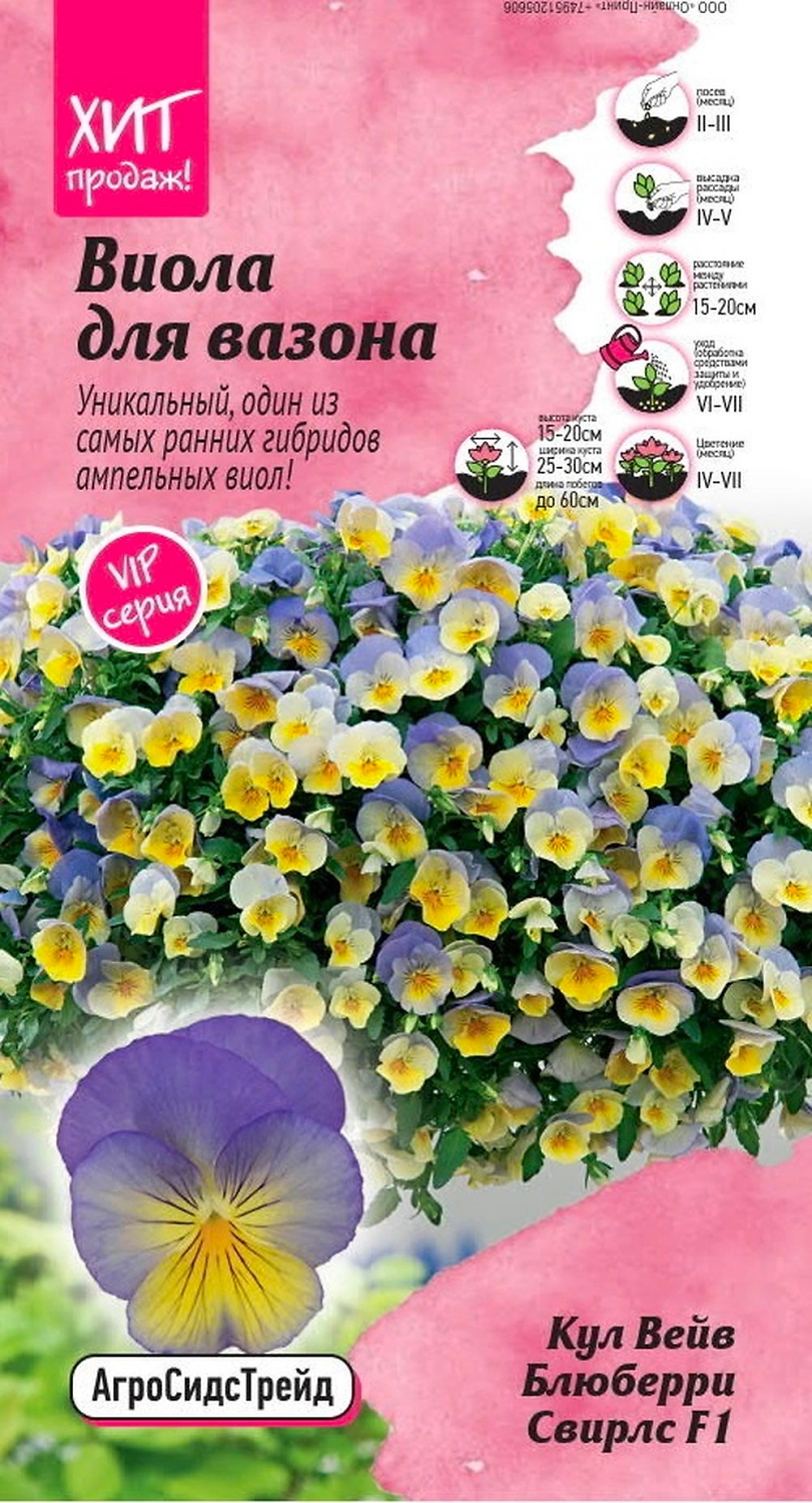 Семена ВИОЛА КУЛ ВЕЙВ БЛ СВ АСТ 5 ШТ
