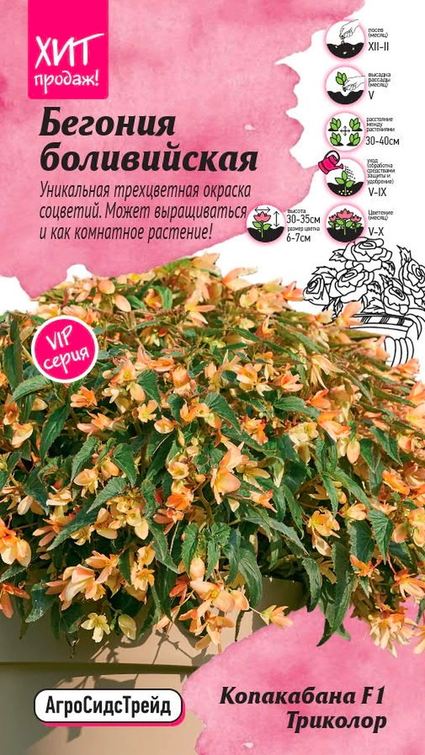 Семена БЕГОНИЯ КОПАКАБАНА АСТ 5ШТ