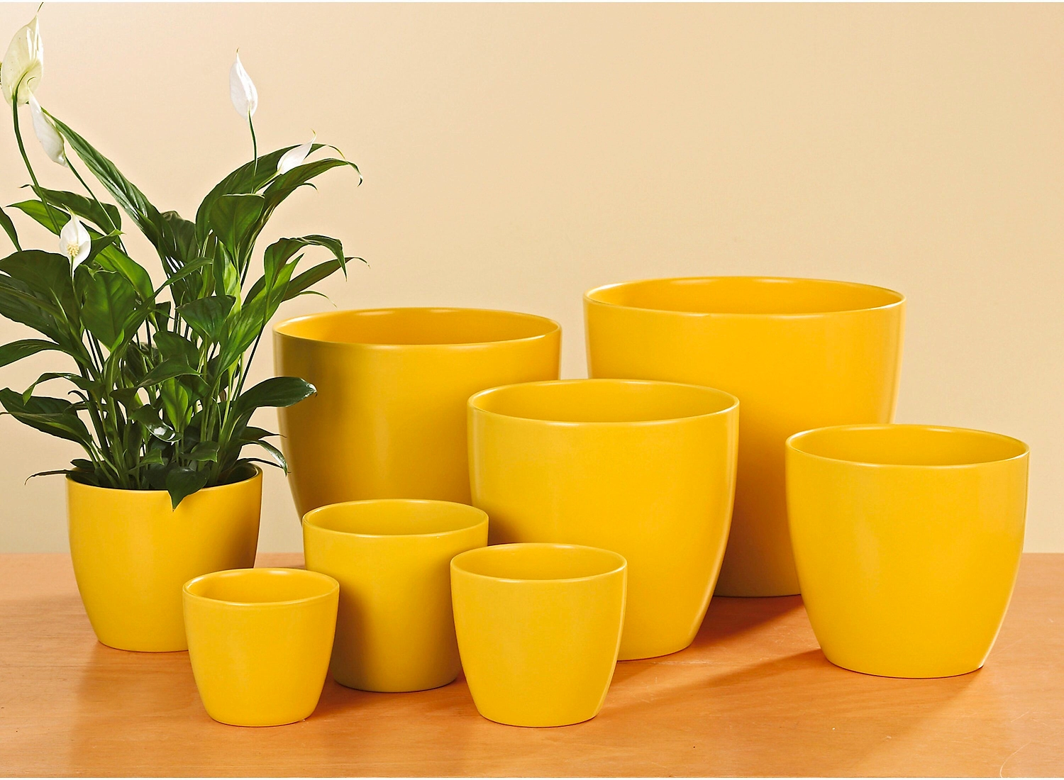 Кашпо Scheurich d19 см керамическое желтое