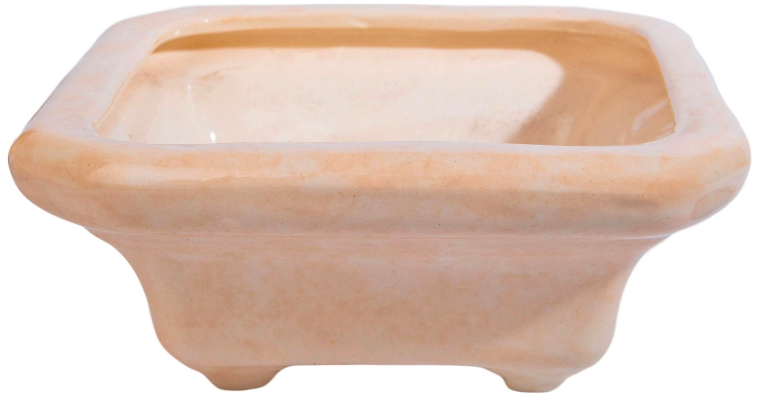 Горшок Бонсайница 21х21х9 см керамический бежевый