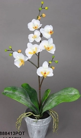 Искусственный цветок фаленопсис бело-желтый 53 см в горшке