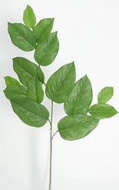 Искусственная ветка салал зеленый 55 см