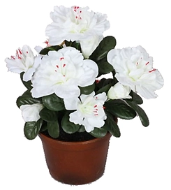 Искусственный цветок азалия белая 17 см в горшке