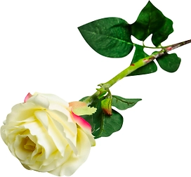 Искусственный цветок роза Афина белая с розовым 80 см