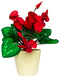 Искусственный цветок цикламен красный 28 см в горшке