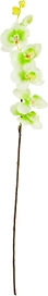Искусственный цветок Фаленопсис кремово-зеленый 80 см