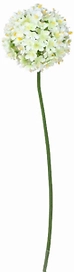 Искусственный цветок лук шаровидный белый 67 см