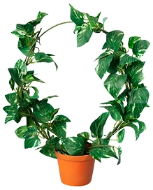 Искусственный цветок Сциндапсус 38 см в горшке