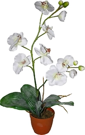 Искусственный цветок фаленопсис белый 80 см в горшке