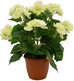 Искусственный цветок бегония кремовая 33 см в горшке