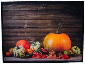 Коврик придверный PAT/68-7631 ворсовый 60х80 см