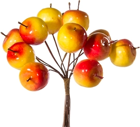 Набор яблок на вставке красно-желтый 2,2x2,5x11