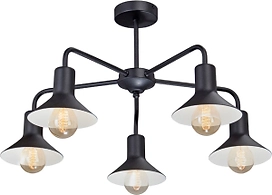 Потолочная люстра Vitaluce V4805-1/5PL