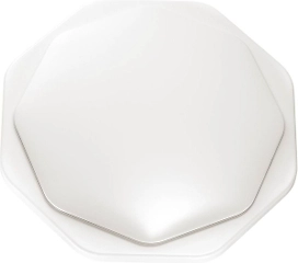 Потолочный светильник Sonex VESTA 3002/EL с пультом ДУ