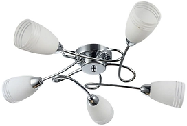 Потолочная люстра J-Light Deni 1125/5C 