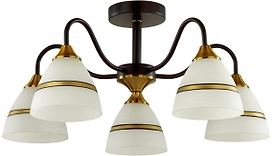 Потолочная люстра LUMION COMFI 5214/5C