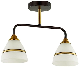 Потолочная люстра LUMION COMFI 5214/2CA