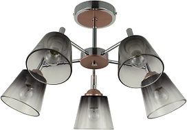 Потолочная люстра J-LIGHT Monty 3200/5C