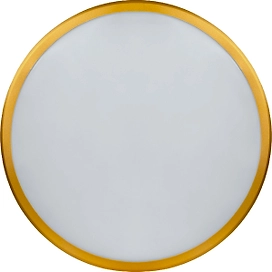 Настенно-потолочный светильник Navigator 80 500 NLF-C-014-02