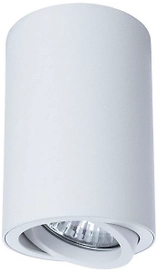 Потолочный светильник ARTE Lamp SENTRY A1560PL-1WH