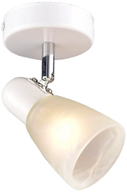 Спот РОССвет Модуль РС20723 WT+CR/1W