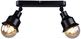 Потолочный светильник РОССвет Ария РС20868 BK/2C с поворотным плафоном