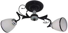 Потолочная люстра J-Light Gera 1520/2C