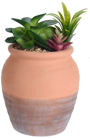 Кактус в горшке 20 см в ассортименте 