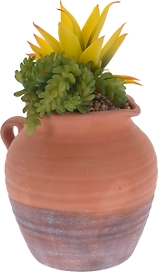 Кактус в кувшине 25 см