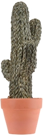Кактус в горшке в ассортименте 15x50 см