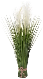 Трава луковая 60 см
