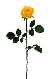 Искусственное растение Роза 65 см желтая