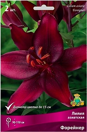 Луковица Лилии азиатская ПОИСК Форейнер 