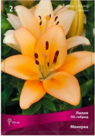 Луковицы лилии ла-гибрид ПОИСК Менорка 2 шт