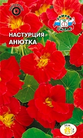 Семена Настурция Анютка СеДек