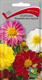 Семена Георгина Махровая смесь окрасок Поиск 0,3 гр