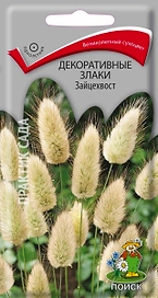 Семена Декоративные злаки Зайцехвост