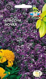 Семена Алиссум Ночка морской СеДек