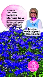 Семена Лобелия Регатта блю Марина Семена от Октябрины Ганичкиной 10 шт