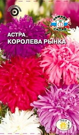 Астра Королева Рынка СеДек