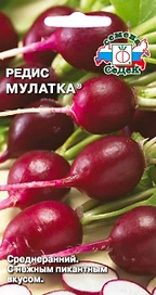 Семена Редис Мулатка СеДеК