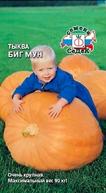 Семена Тыква Биг Мун СеДеК 2 гр