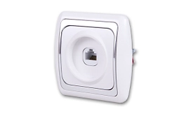 Розетка Дельта компьютерная белая с серебром СП