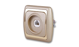 Розетка Дельта компьютерная золото СП