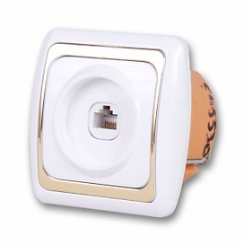 Розетка Дельта компьютерная белая с золотом